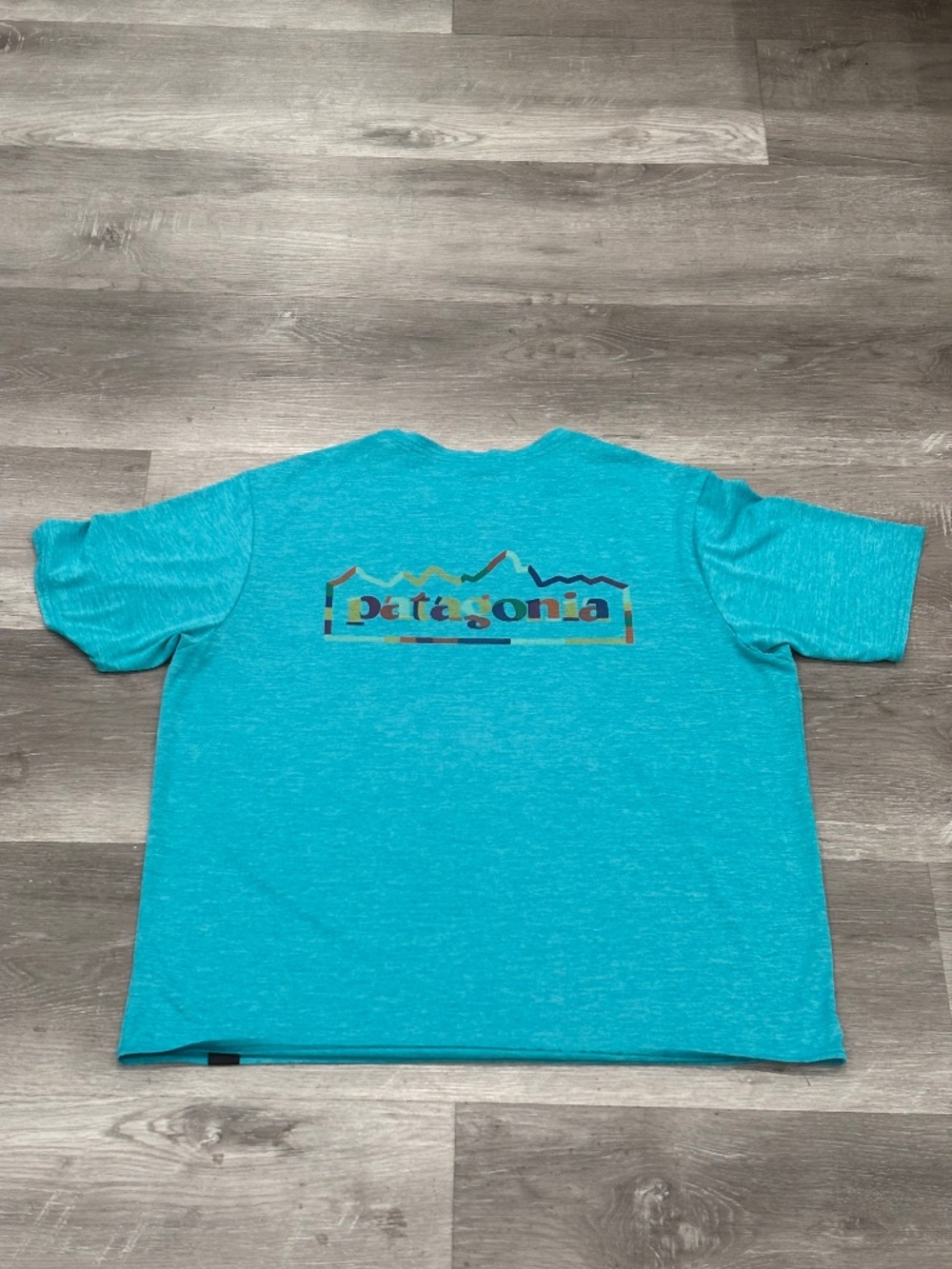 Patagonia Capilene Cool Daily Tee Mens L Light Blue Short Sleeve Graphic Waters